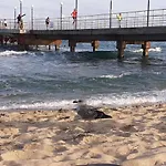 Chateau Del Mar C31a Sunny Apartmán *