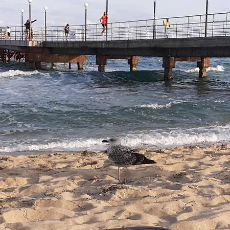 Chateau Del Mar C31a Sunny Appartement *