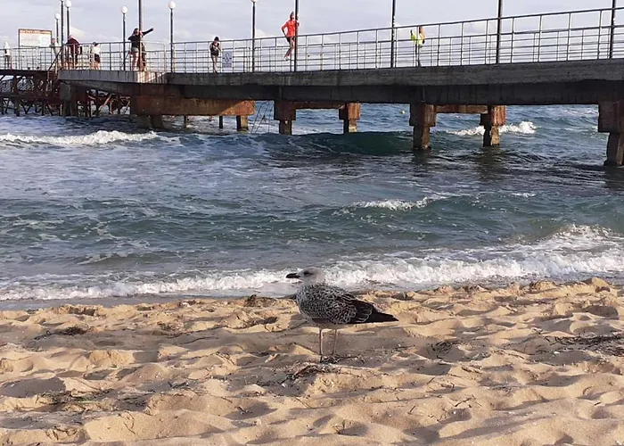 Chateau Del Mar C31a Sunny דירה *