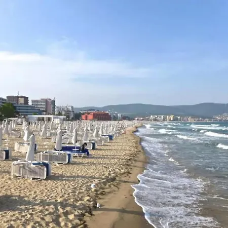 公寓 Chateau Del Mar C31a Sunny